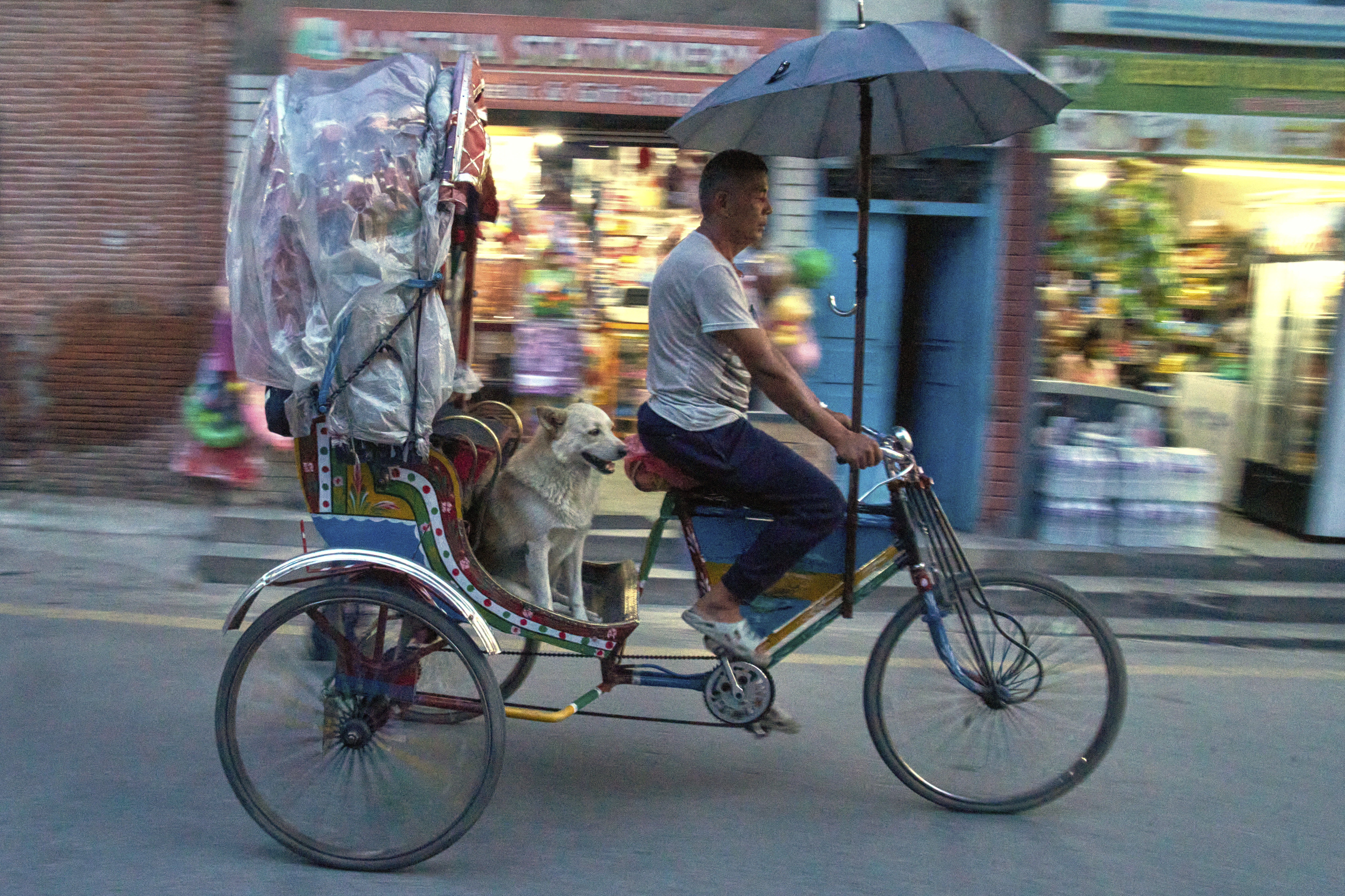 Babu Tamang and his dog Shyam return home after work in Kathmandu, Nepal, Thursday. (AP Photo/Niranjan Shrestha)