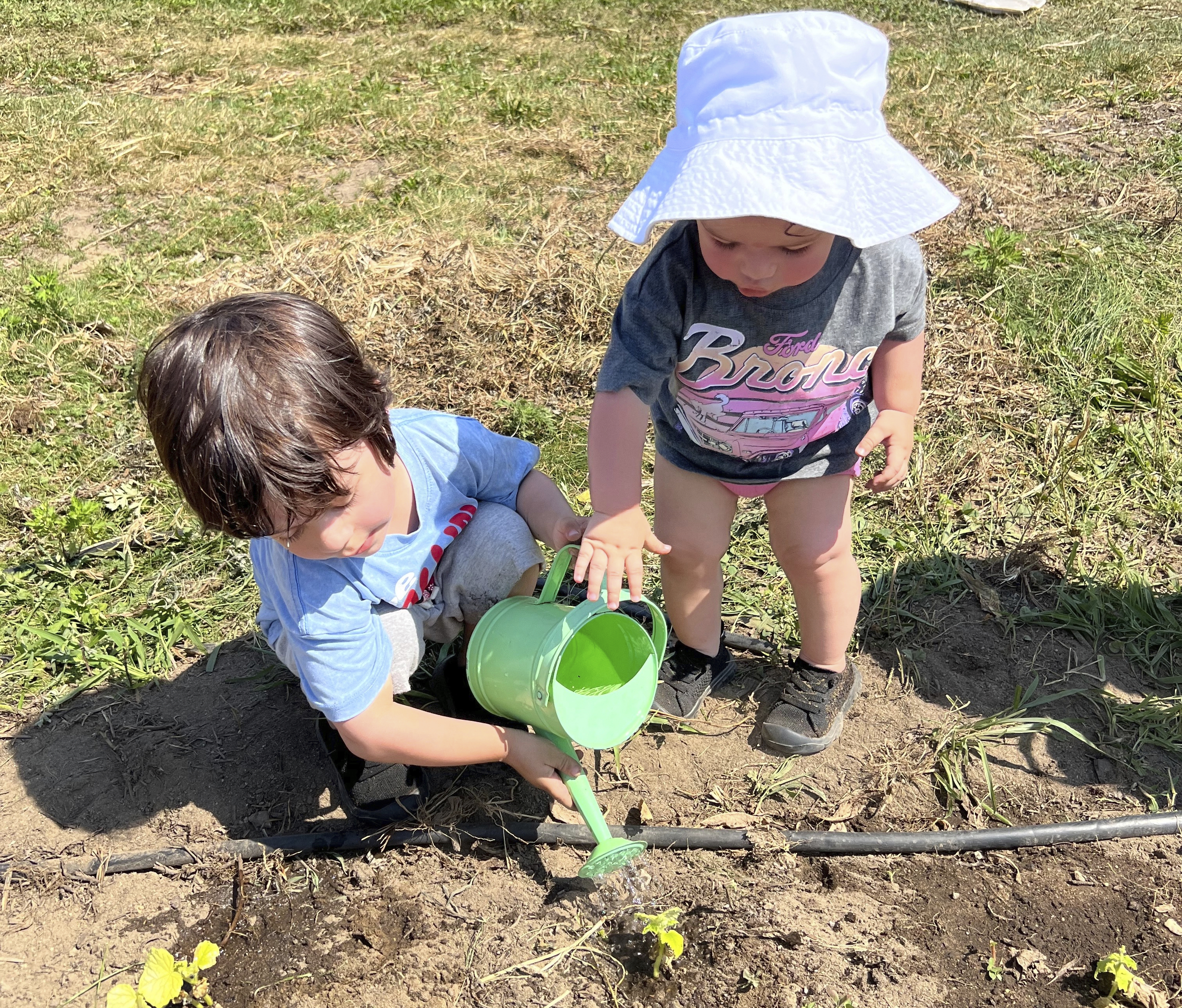 This July 8, 2025 image provided by Dina Colon shows Nico Rivera, 4, and MaryAnna Rivera (1 1/2) watering their newly planted cucumber seedlings at Crossroads Farm in Malverne, New York. (Dina Colon Via AP)