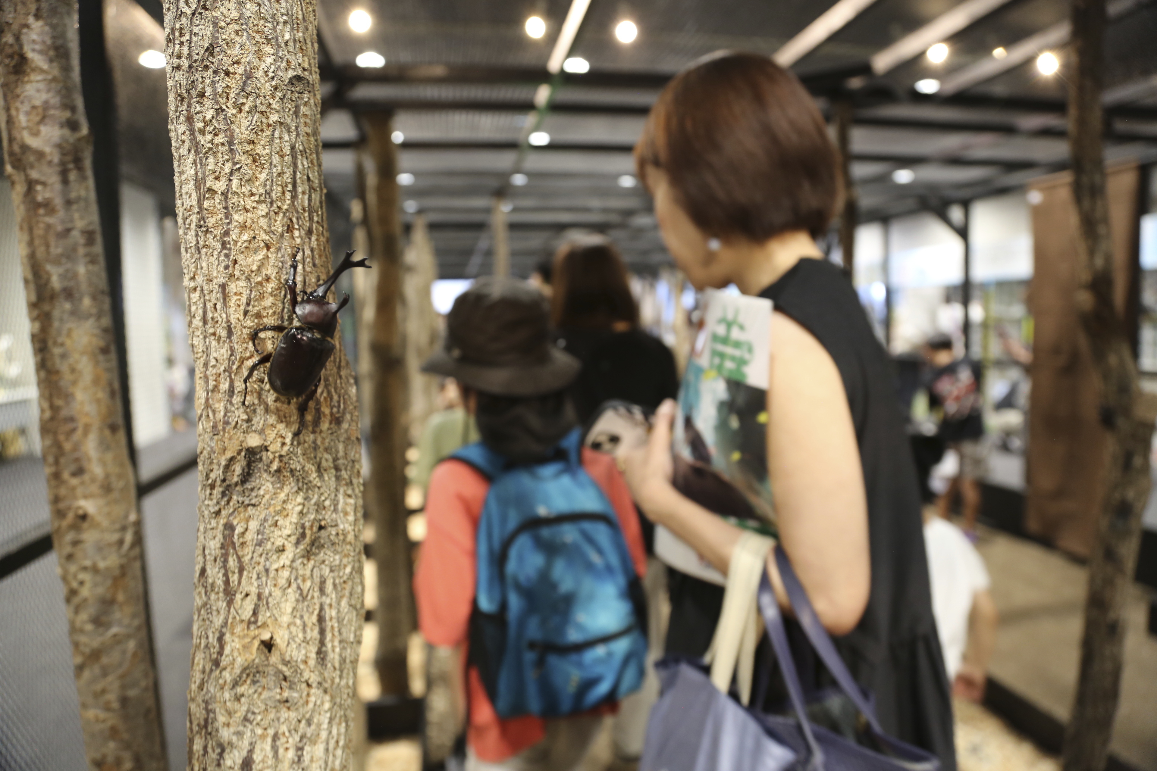 People walk around a cage to look at bugs at an exhibition devoted to insects in Tokyo, Thursday, July 31, 2025. (AP Photo/Yuri Kageyama)