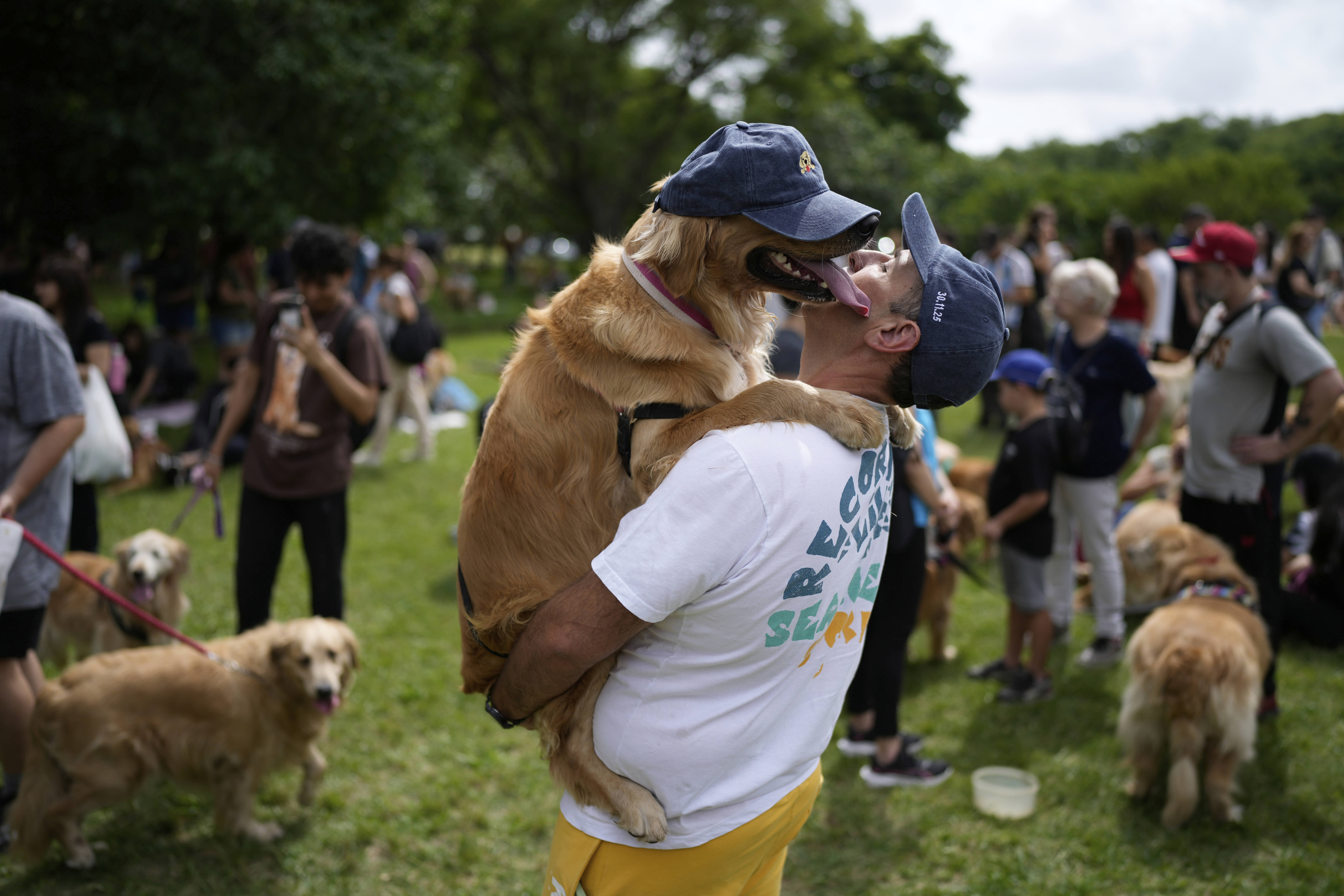 Pet owners gathered to set a world record of the largest-ever gathering of golden retrievers in Buenos Aires, Argentina. 