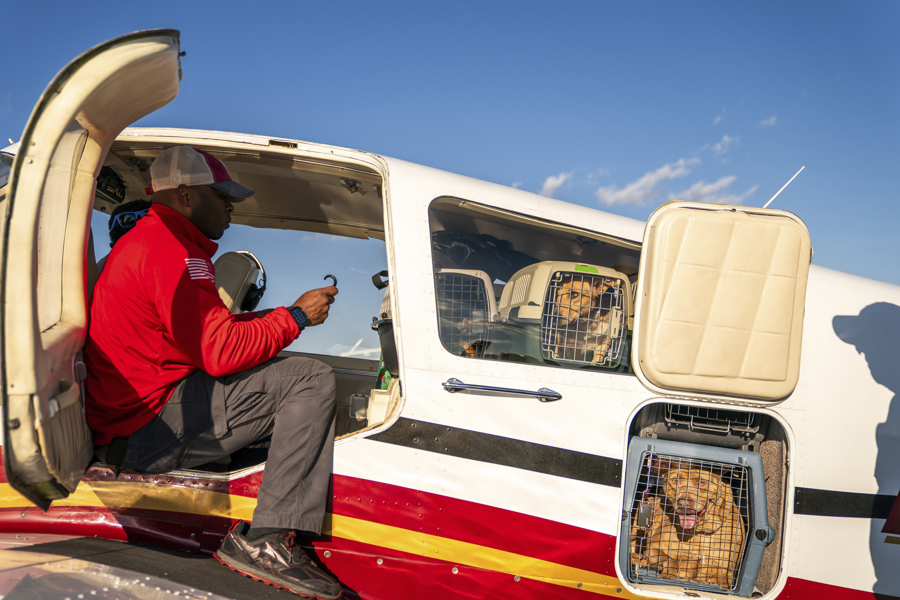 A volunteer pilot secures crates holding shelter pets to be flown to foster and rescue groups in Brandy Station, Va.
