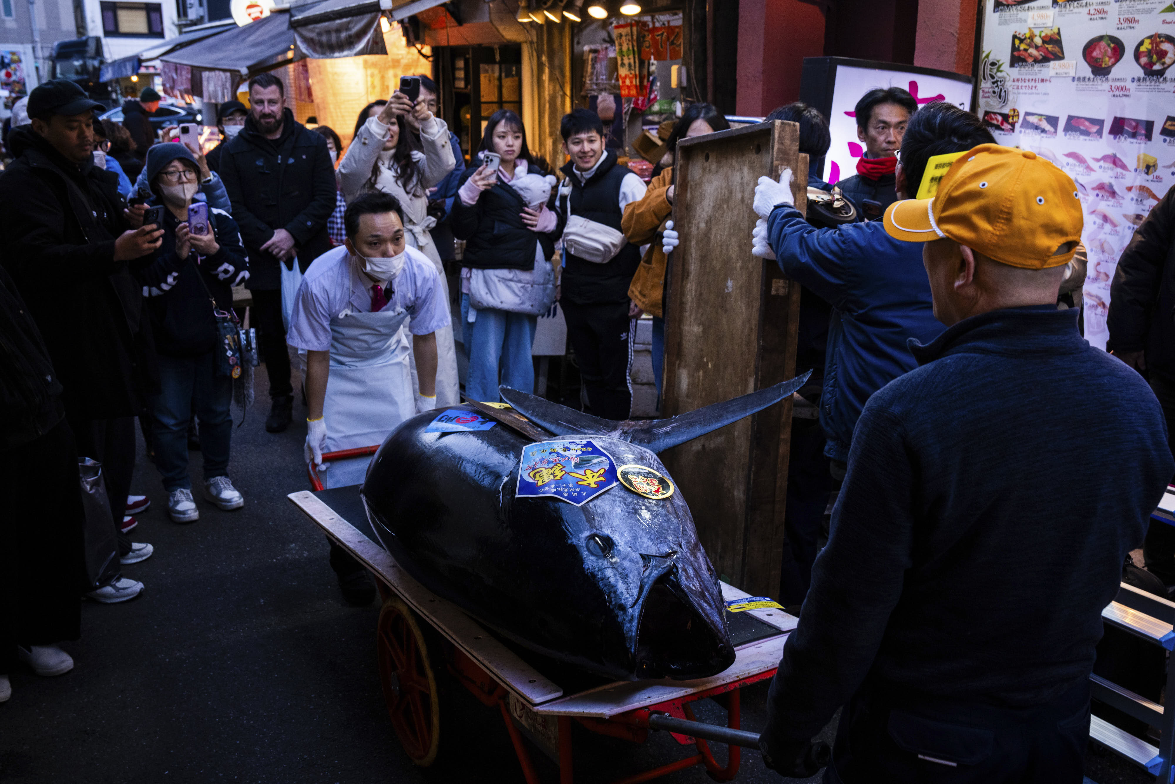 A bluefin tuna that won the highest bid at the annual New Year auction is carried to a restaurant in Tokyo. 