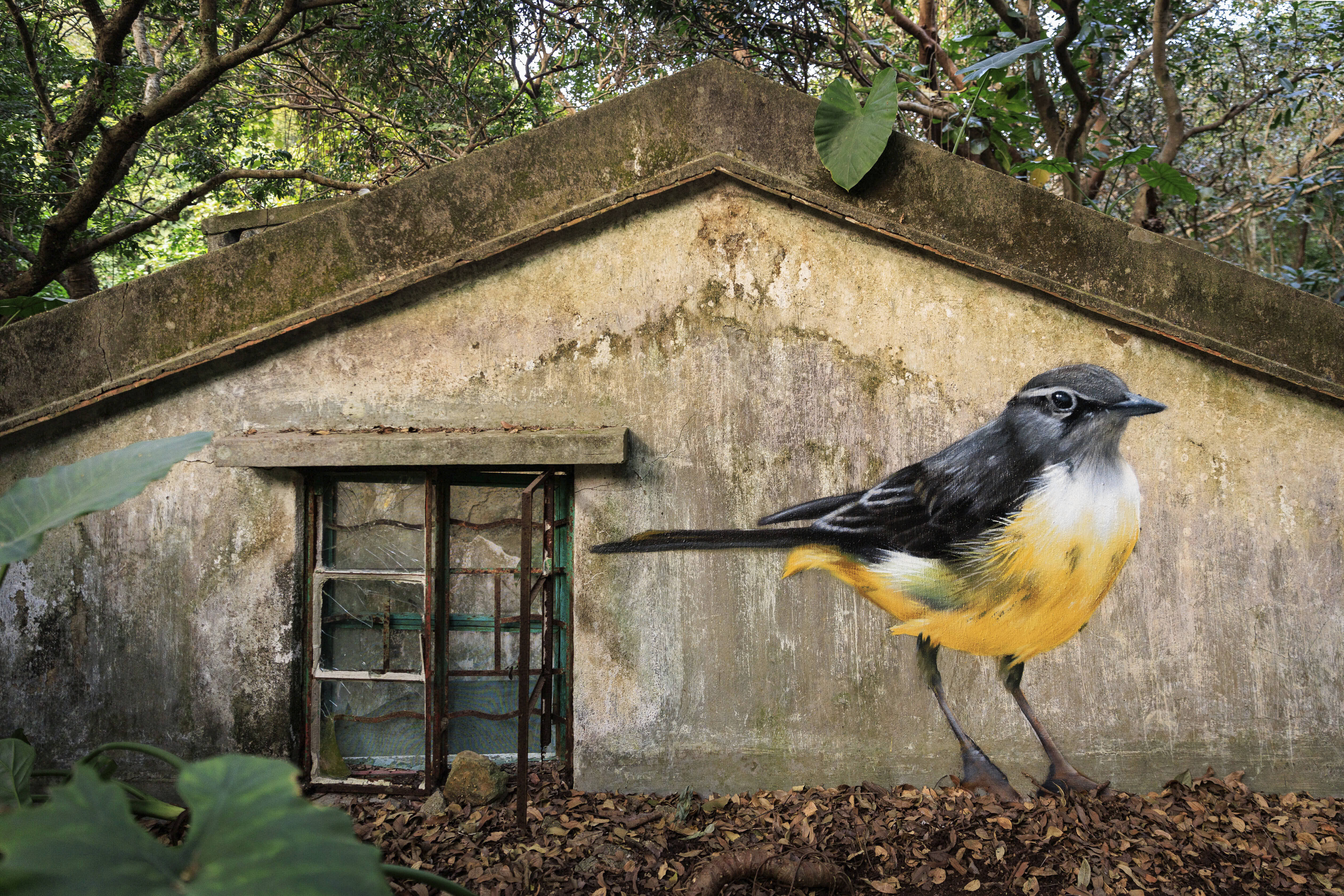 A mural of a grey wagtail adorns the facade of an abandoned home on Lantau Island. 