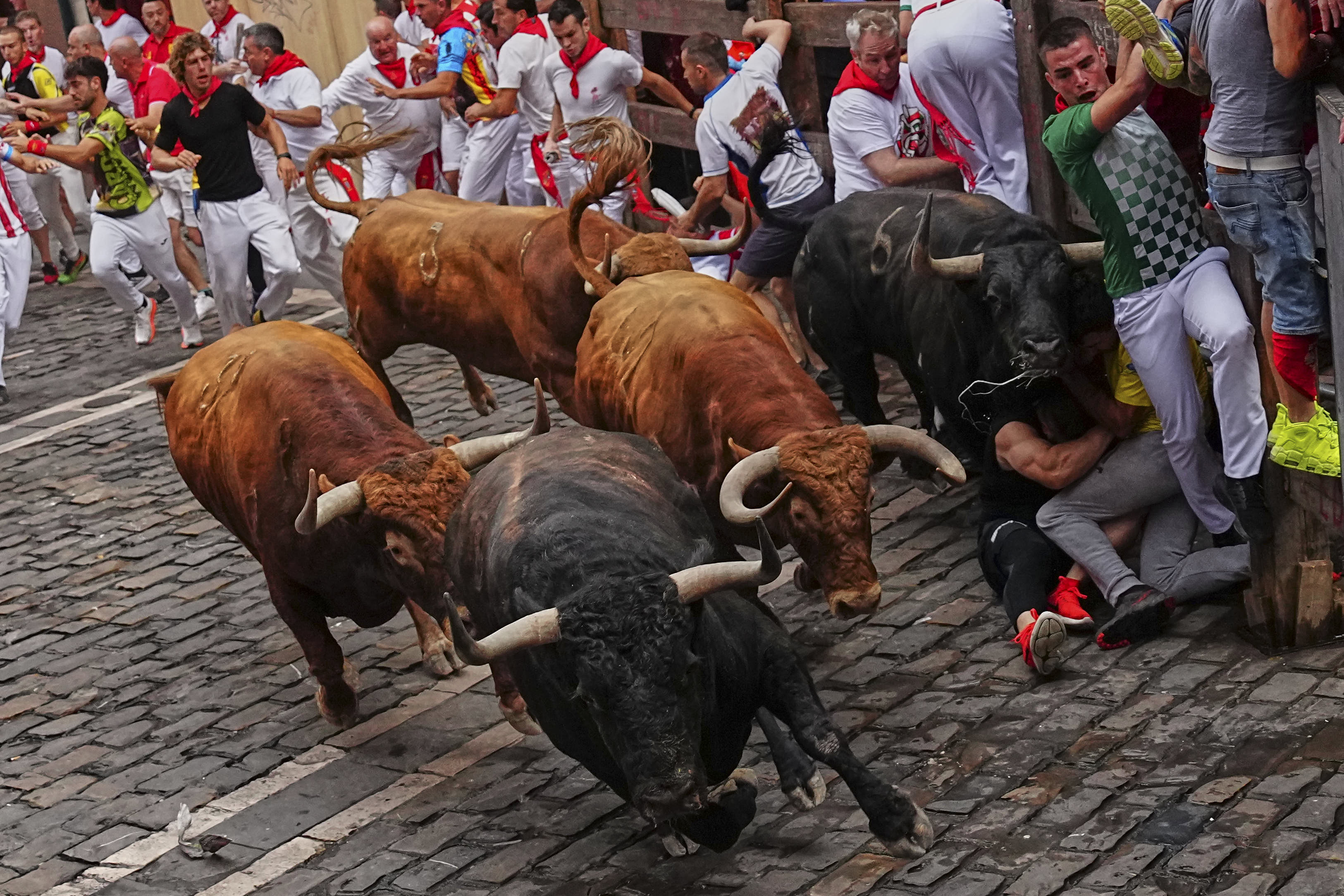 Revelers run alongside fighting bulls during the fourth running of the bulls at the San Fermín festival in Pamplona, Spain. 