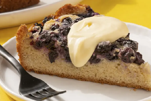 This Fresh Blueberry Cake Is the Perfect Picnic Addition