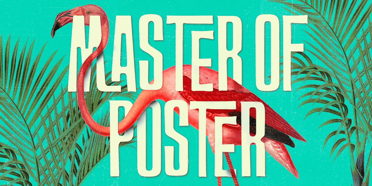 FT Master Of Poster by Fenotype