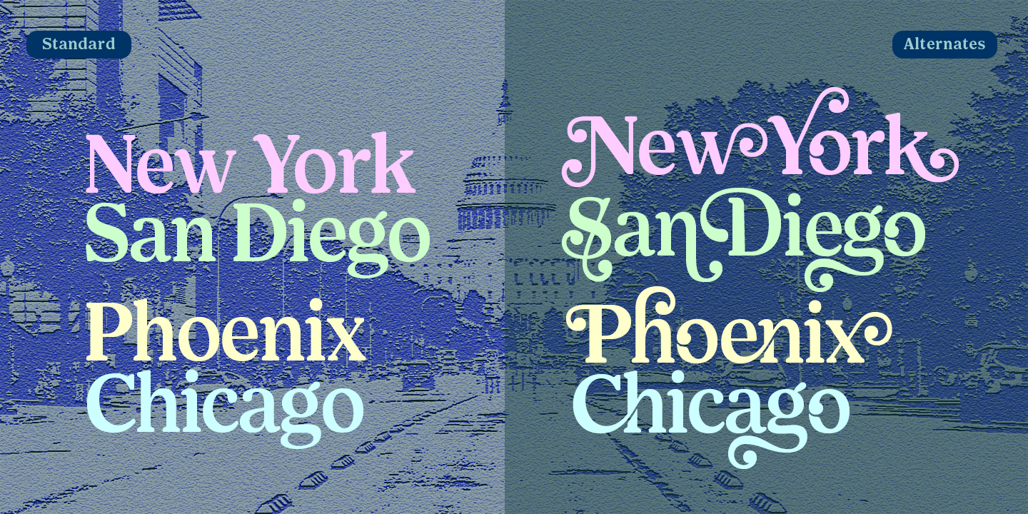 Shelian by Seniors Studio