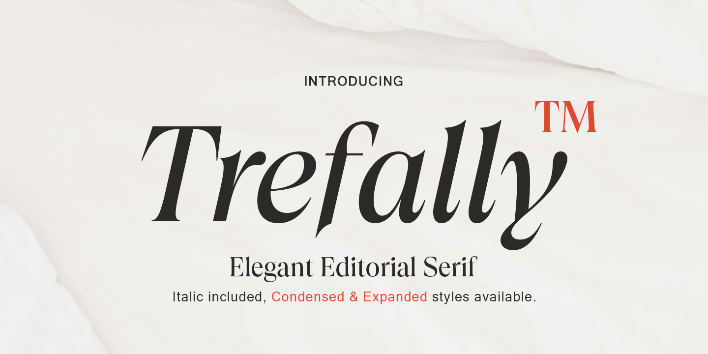 Trefally Serif by Attract Studio