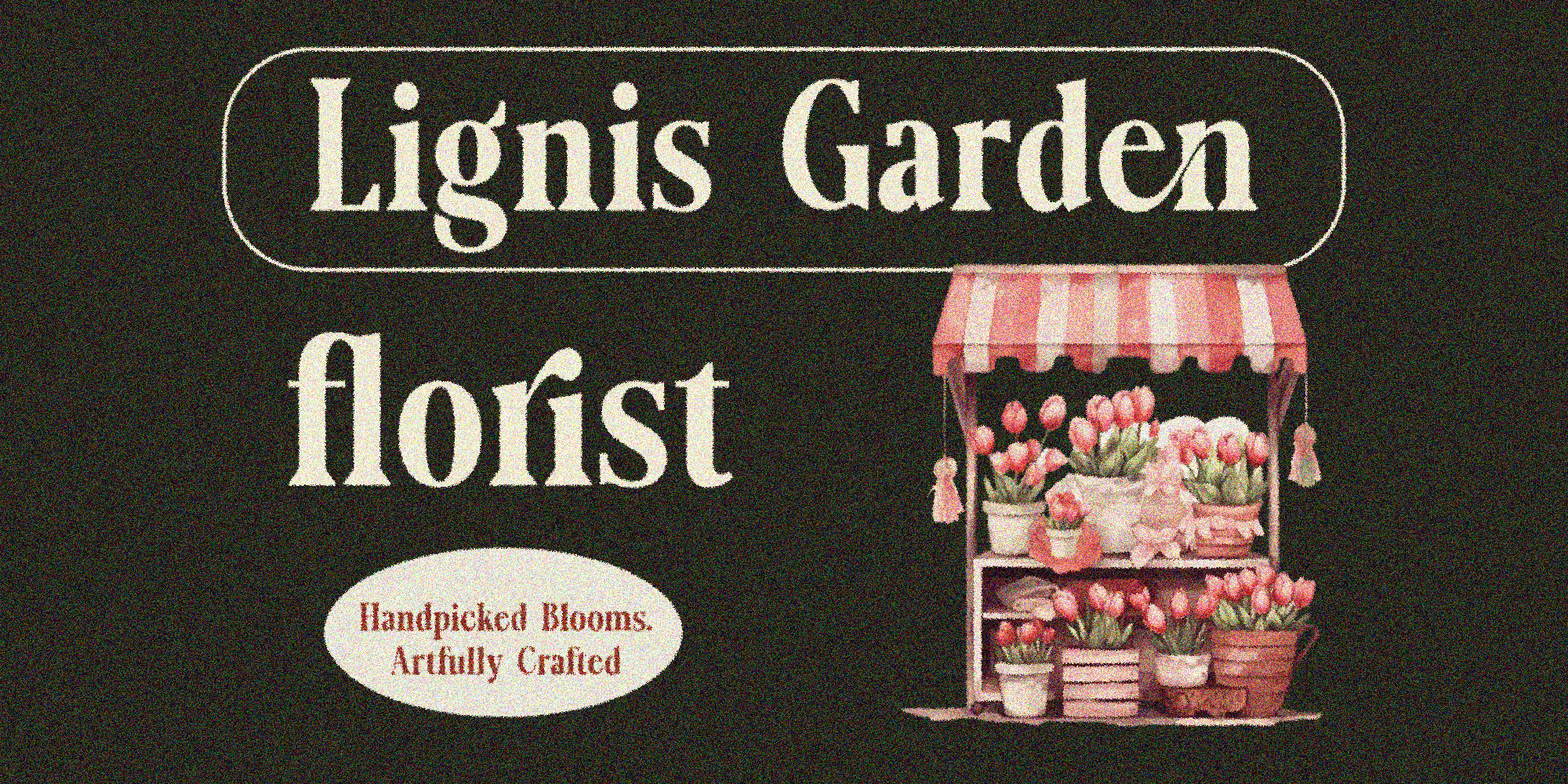 Lignis by Zafira Type