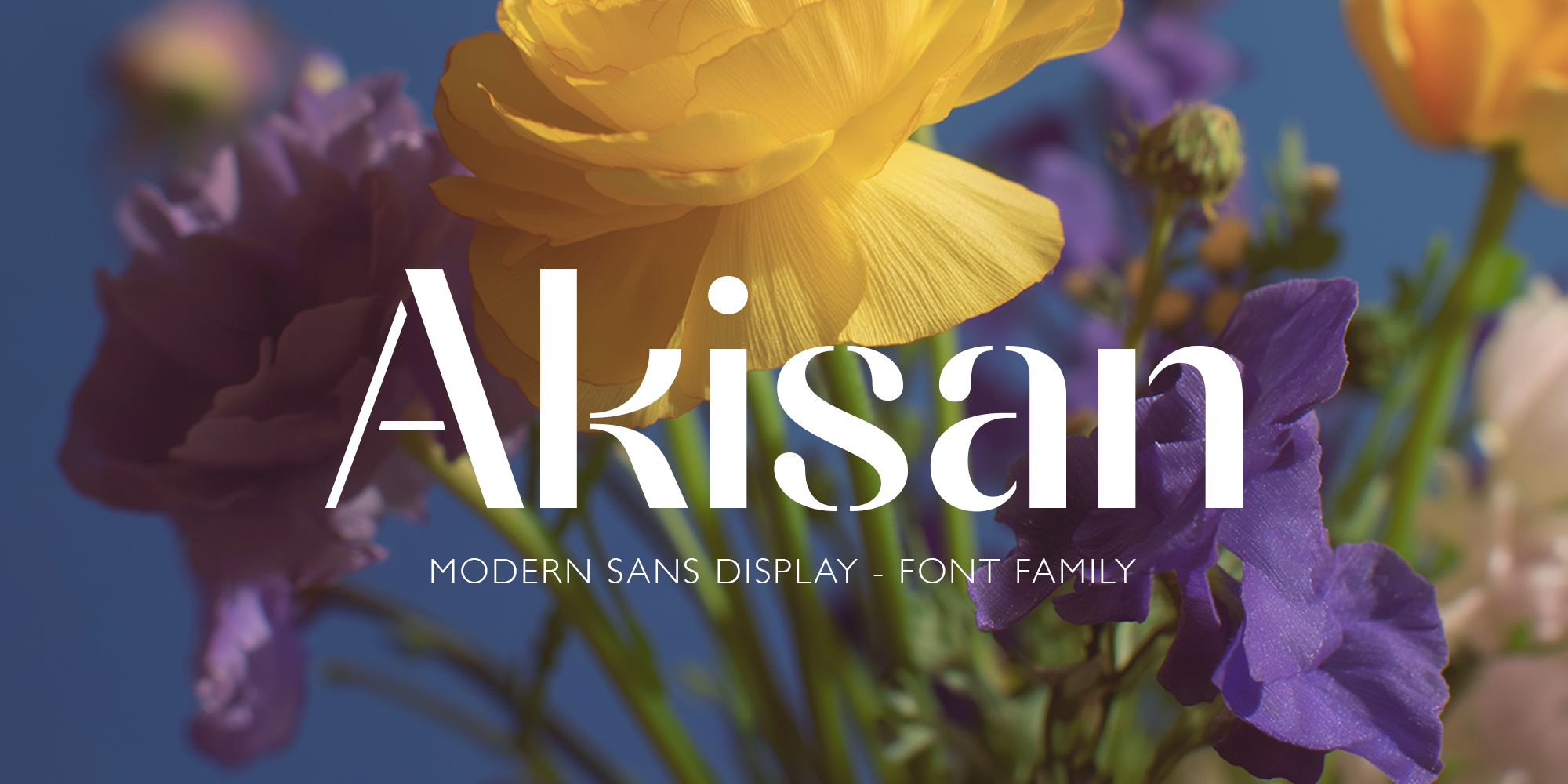 Akisan