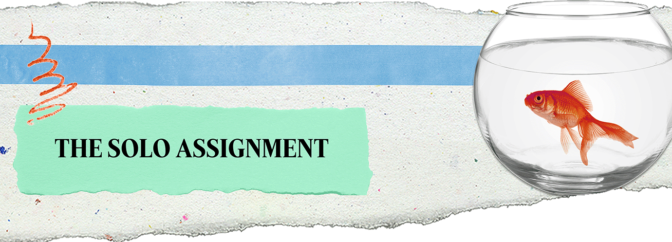 THE SOLO ASSIGNMENT