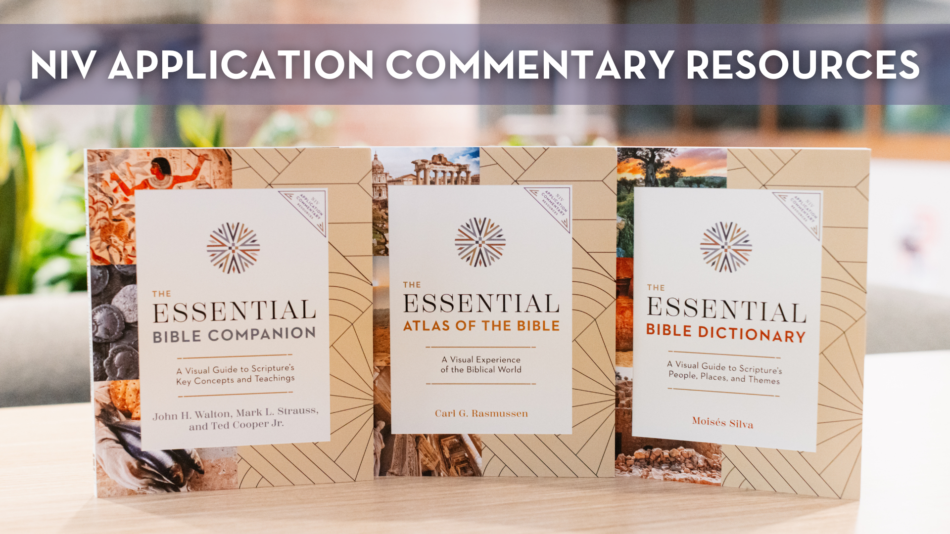 NIV Application Commentary Resources