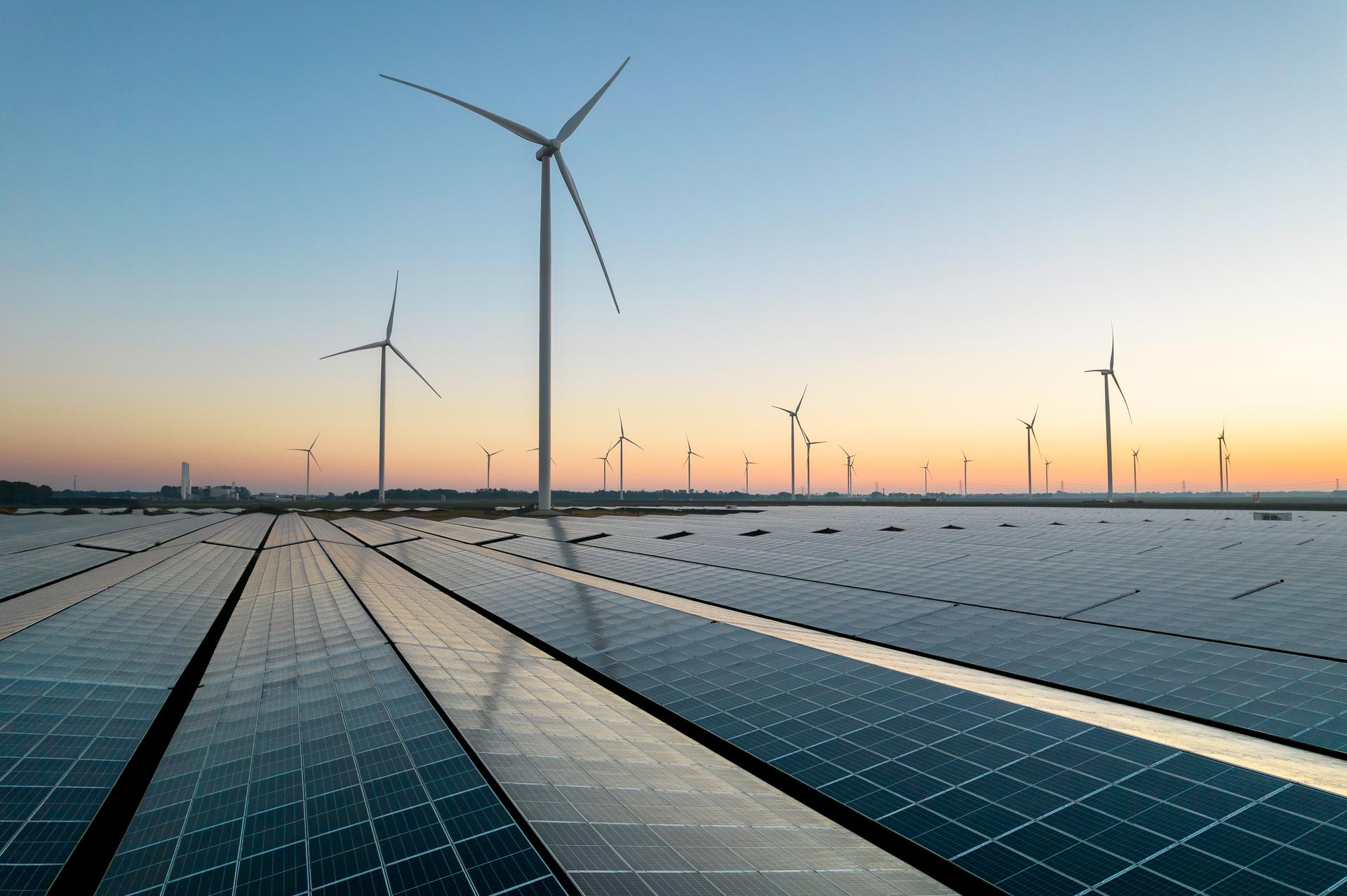A field of solar panels on the ground, with wind turbines above them.