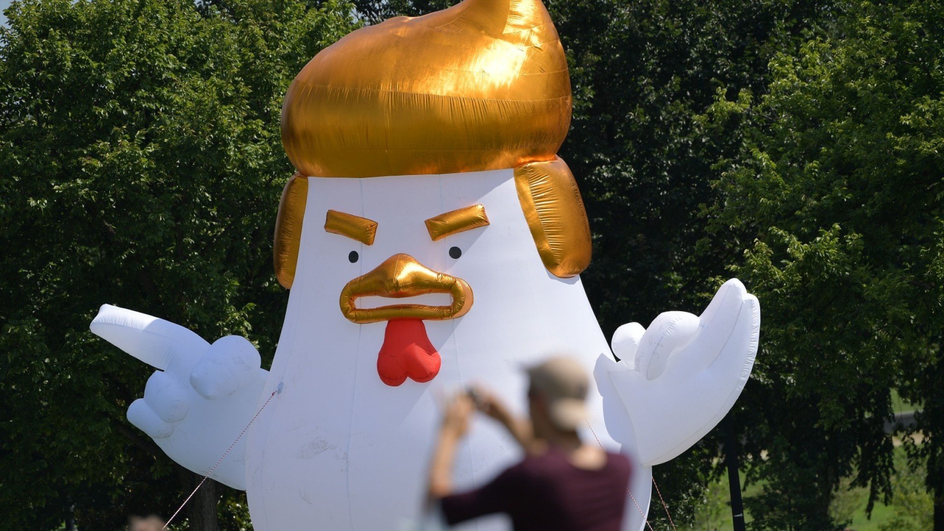 Inflatable chicken 