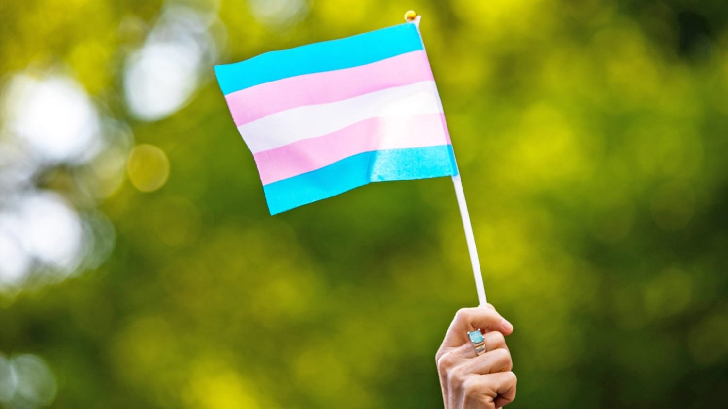 Transgender flag.