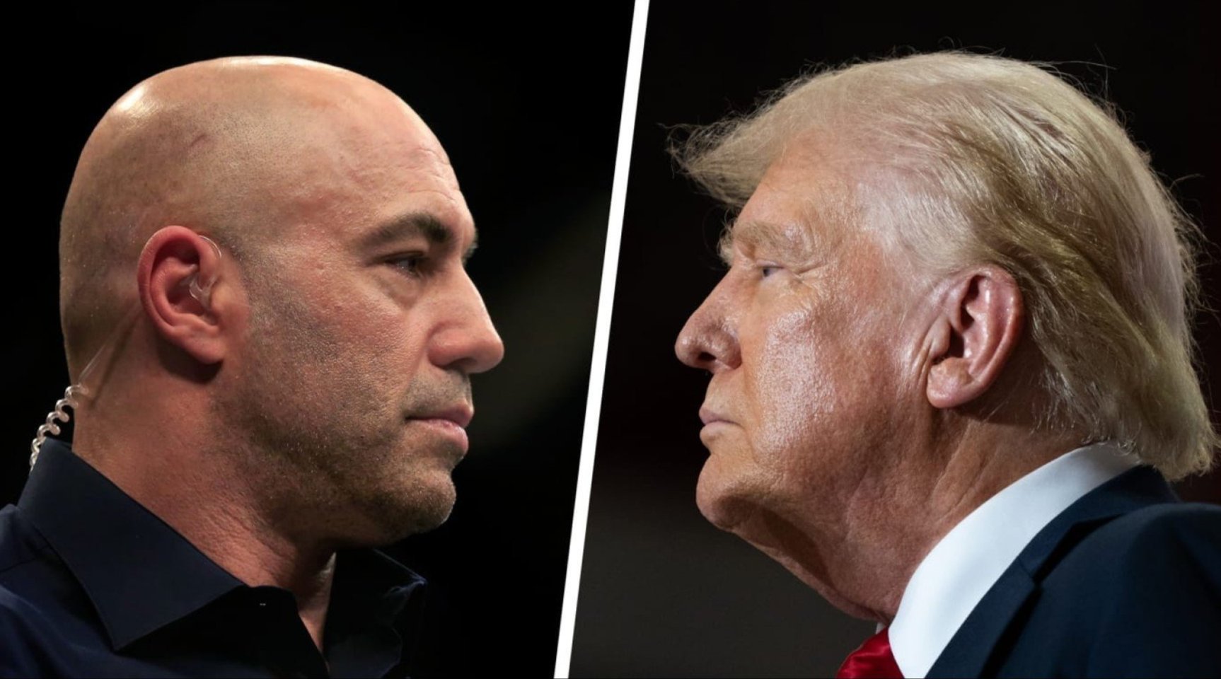 Joe Rogan and President Donald Trump.