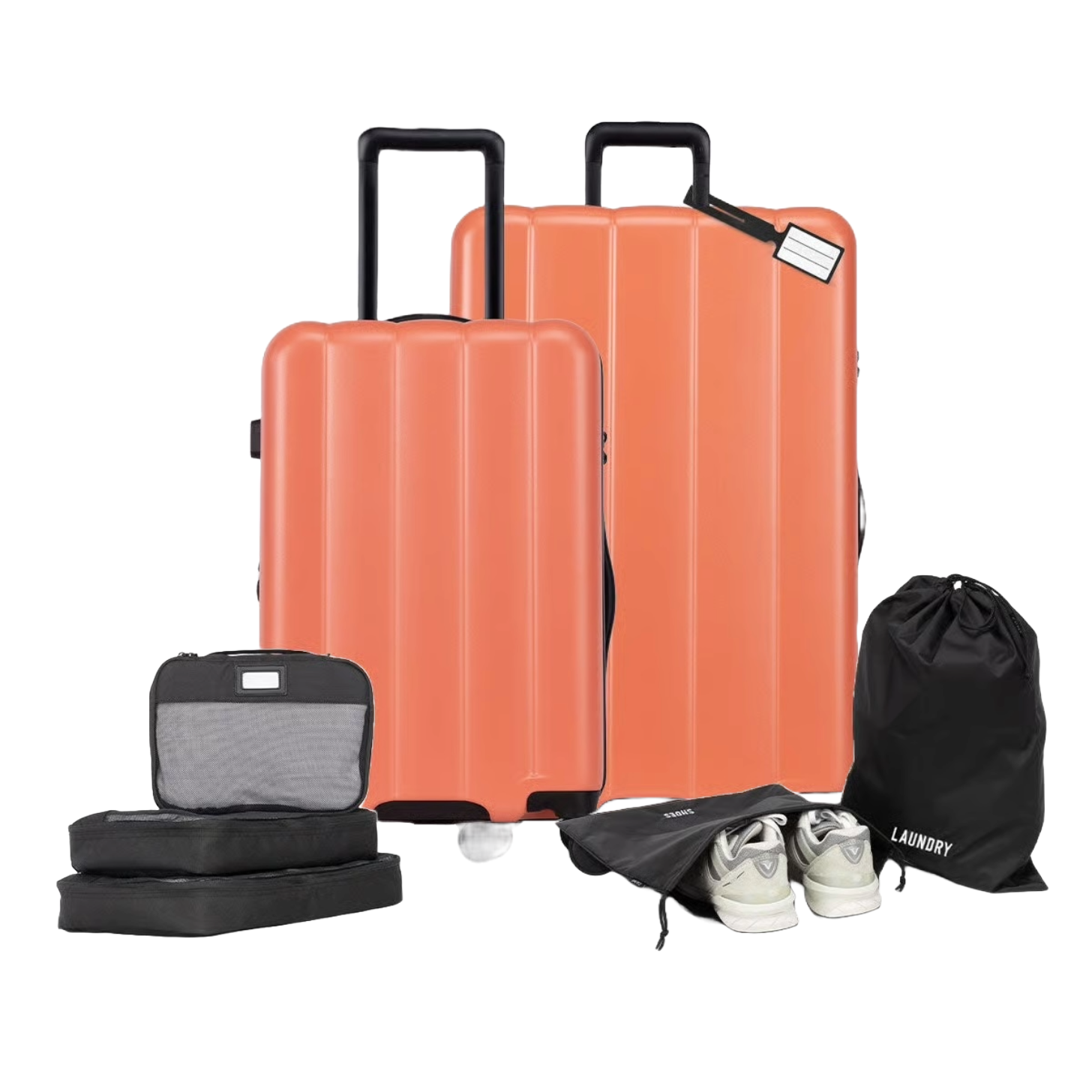 Calpak Evry Starter Bundle