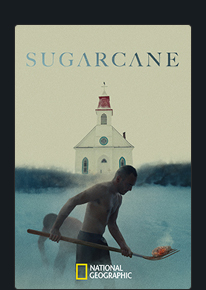 SUGARCANE