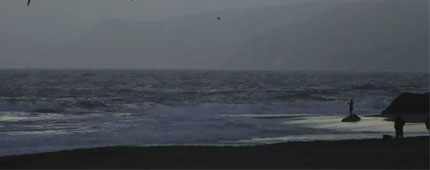 Birds fly over the coast.