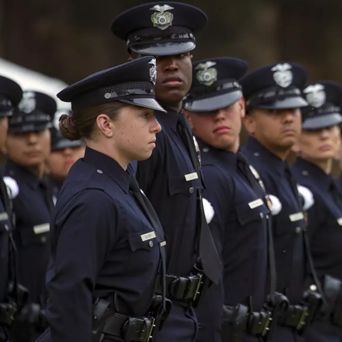 A slimmed-down LAPD seems here to stay. What happens to crime with fewer cops?