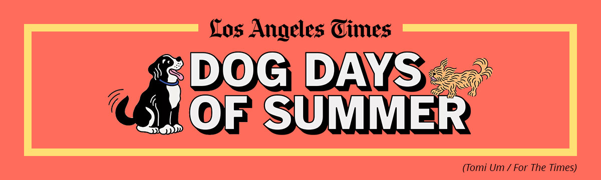 Los Angeles Times - DOG DAYS OF SUMMER