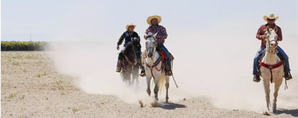 Three people ride horses into a watering station during the Joaquin Murrieta ride in Dairyland, Calif. Three people ride horses into a watering station during the Joaquin Murrieta ride in Dairyland, Calif.