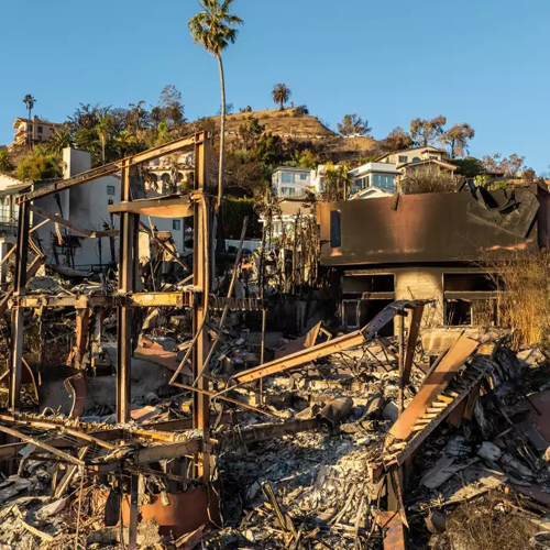 Trump surveys Pacific Palisades devastation: ‘It’s incredible. It’s really an incineration’