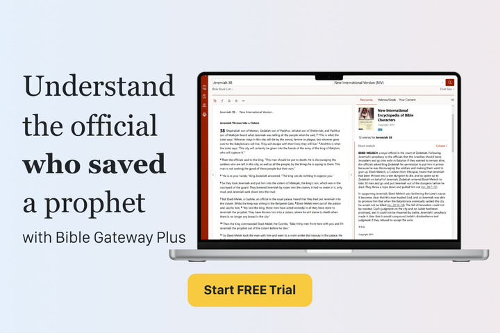 Start Free Trial