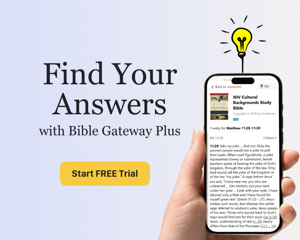Best value in digital Bible study!