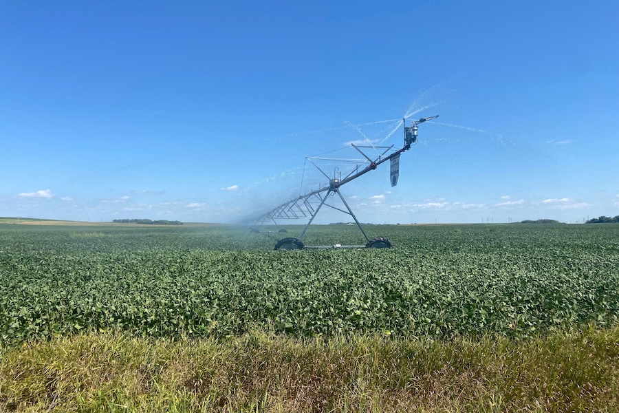 Soybeans are irrigated in Platte County, Nebraska, U.S. August 22, 2022. (Karen Braun/Reuters)