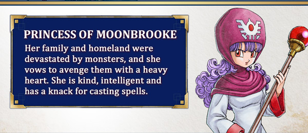 Princess of Moonbrooke