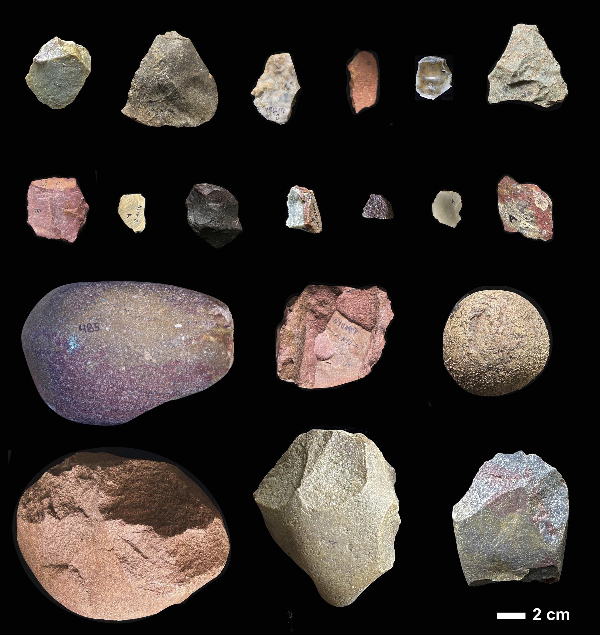 Oldowan stone tools made from a variety of raw materials at the Nyayanga excavation site in Kenya.