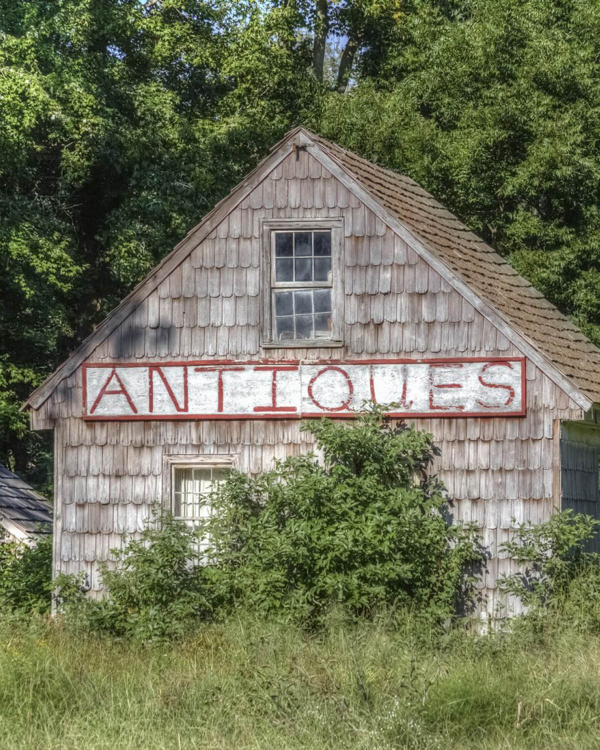 overgrown shingled building with sign that says antiques