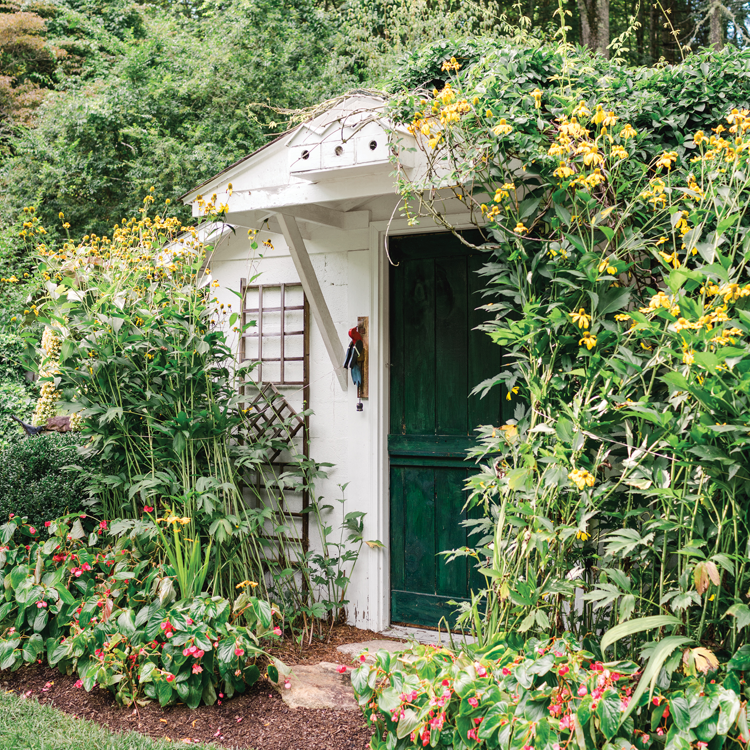 Rock Legend Honors Big Bear Valley Eaglet's First Flight: 