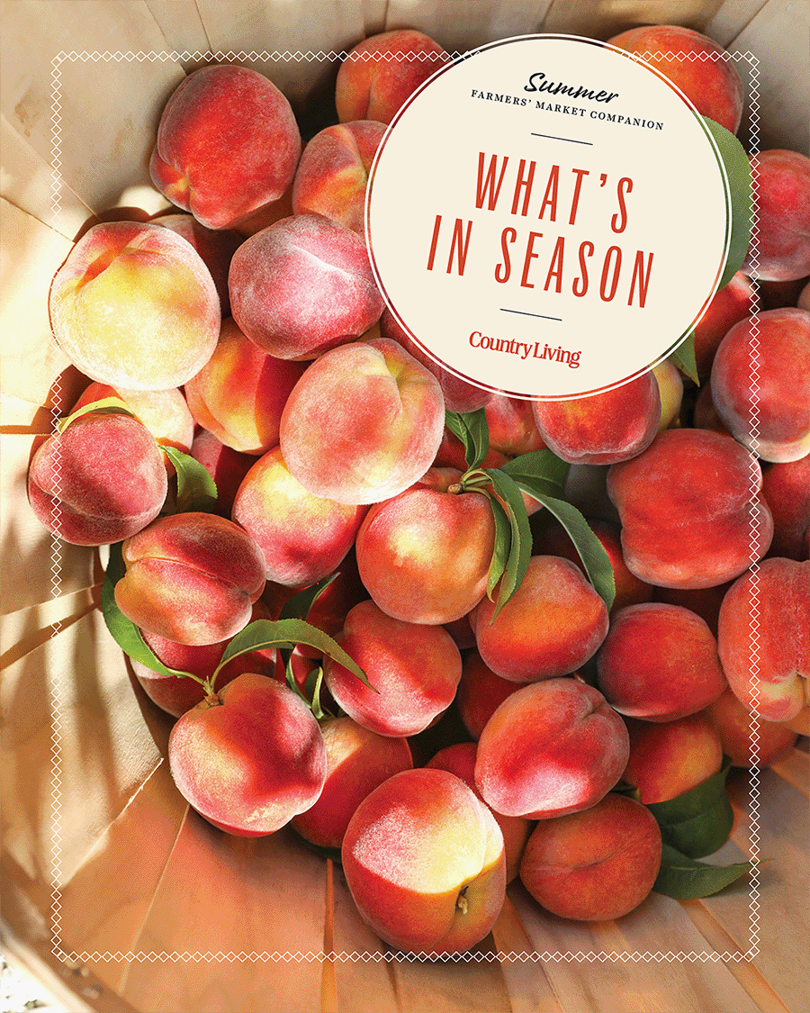 dishes featuring summer produce