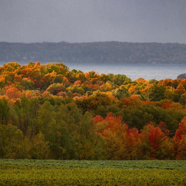 scenic fall landscape