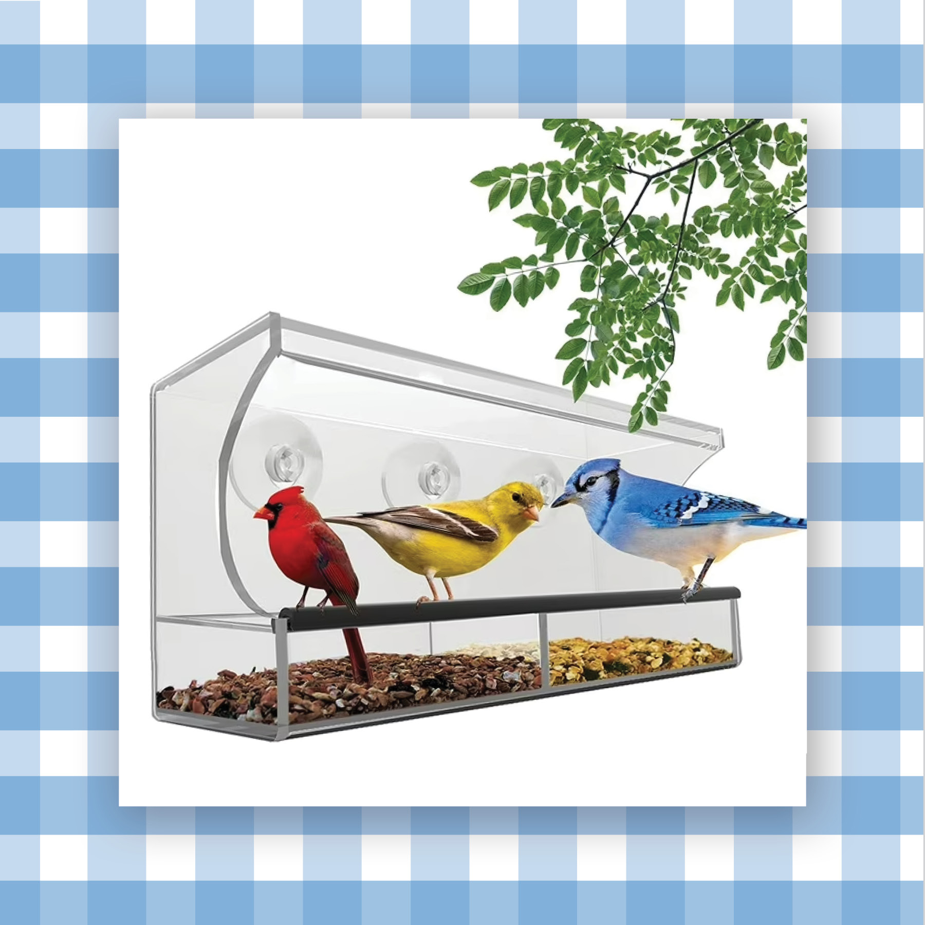 window bird feeder
