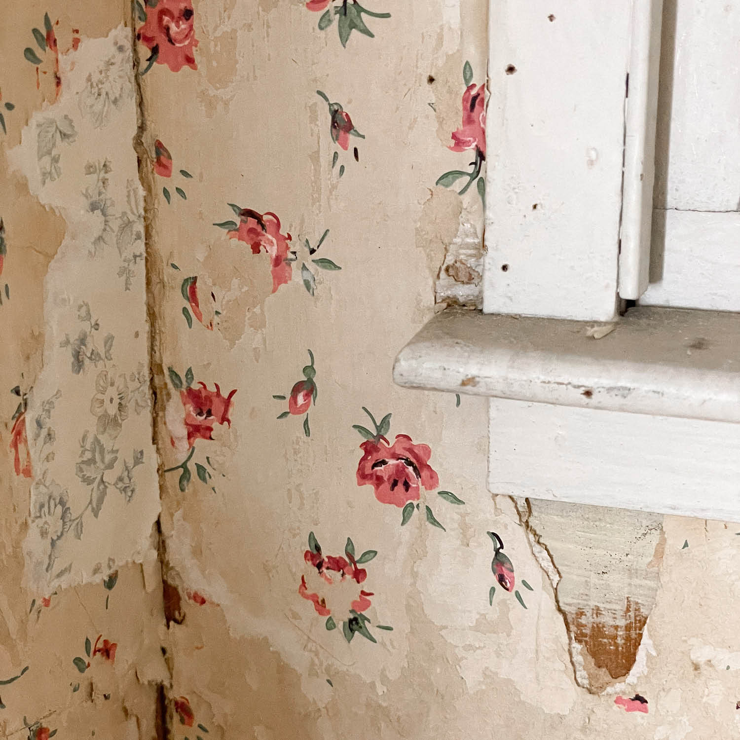 peeling floral wallpaper