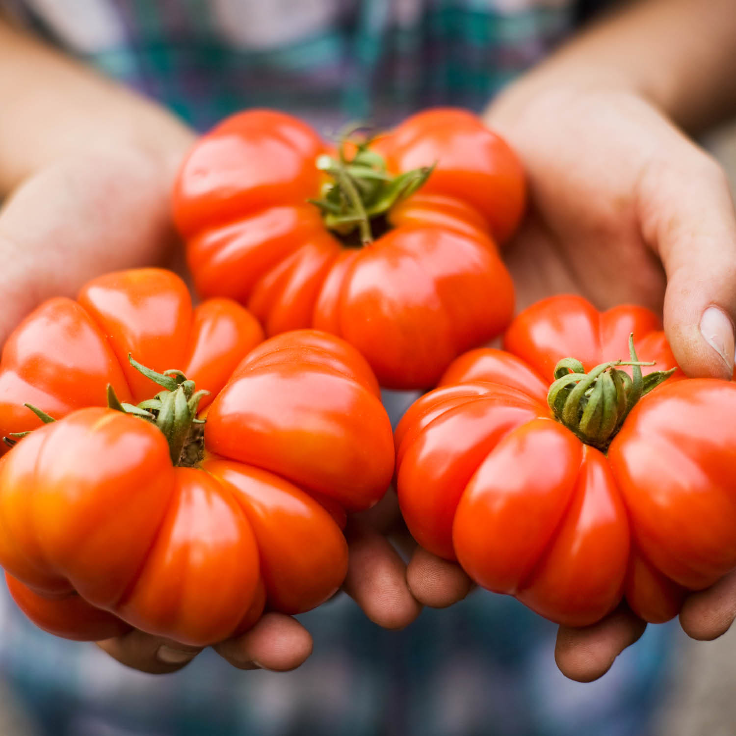 Country Legend George Strait Updates Fans After Health Struggles