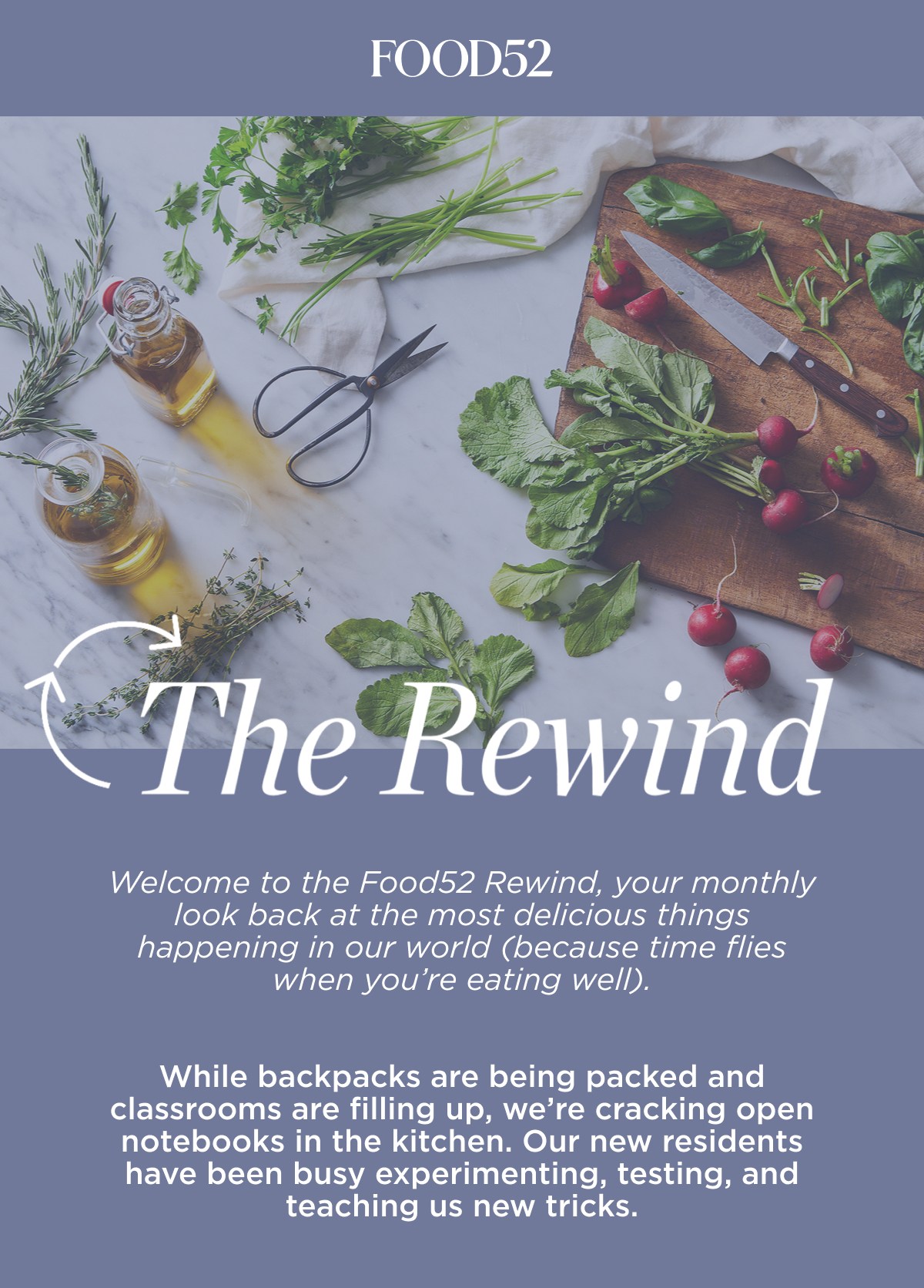 The Rewind
