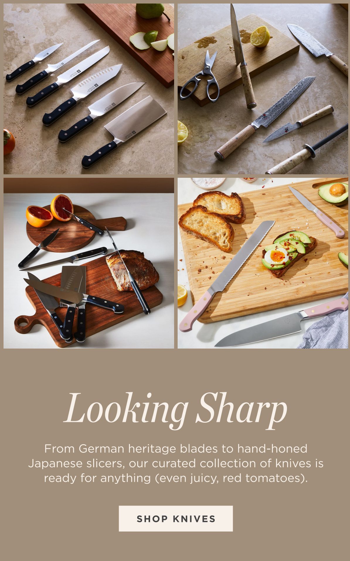 Shop Knives
