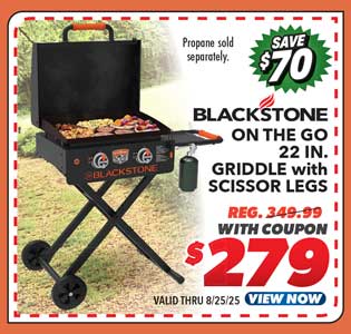 Blackstone On The Go 22