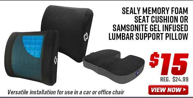Sealy Memory Foam Seat Cushion or Samsonite Gel Infused Lumbar Support Pillow