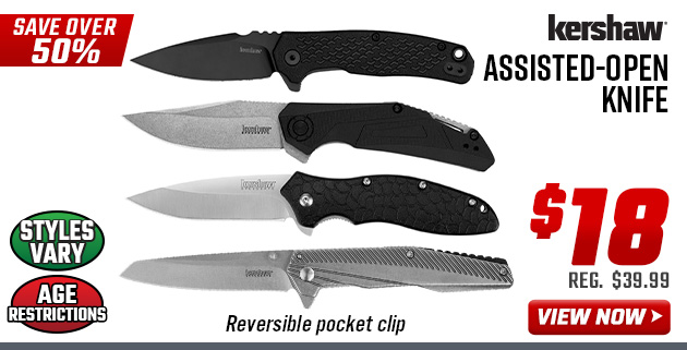 Kershaw Assisted-Open Knife