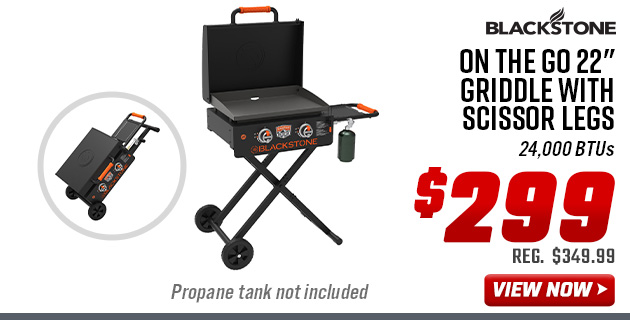 Blackstone On The Go 22