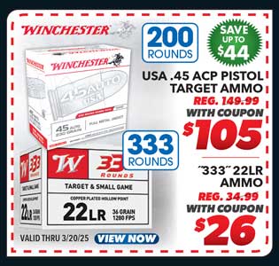 Winchester 333 22LR Ammunition or USA .45 ACP 200-Round Pack Pistol Target Ammunition