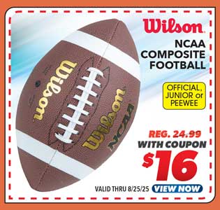 Wilson NCAA Composite Football