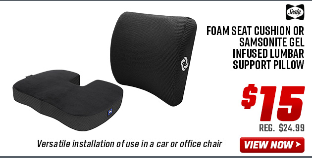 Sealy Memory Foam Seat Cushion or Samsonite Gel Infused Lumbar Support Pillow