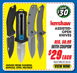 Kershaw Flourish Assisted-Open Folding Knife