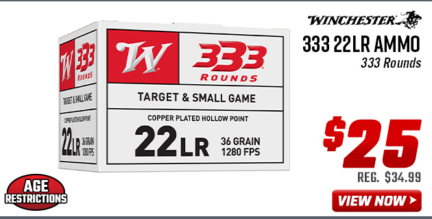 Winchester 333 22LR Ammo